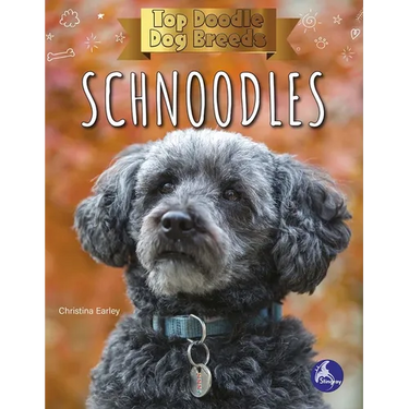 Schnoodles