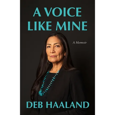 A Voice Like Mine: A Memoir