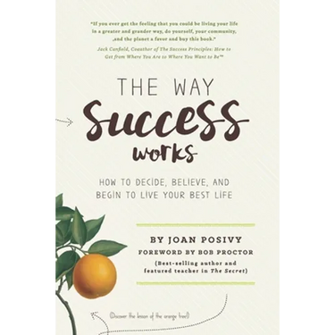 The Way Success Works: How to Decide, Believe, and Begin to Live Your Best Life