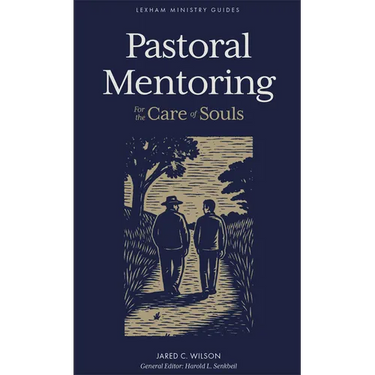 Pastoral Mentoring: For the Care of Souls