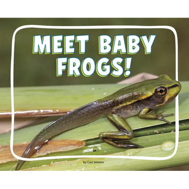 Meet Baby Frogs!