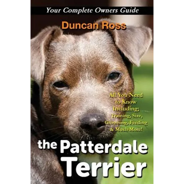 The Patterdale Terrier
