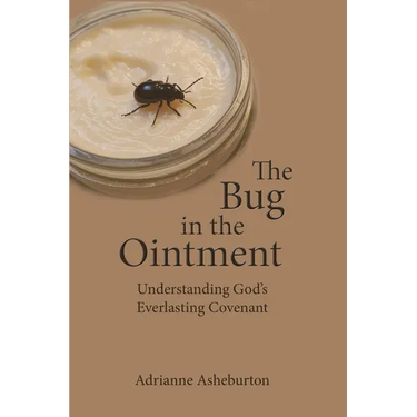 The Bug in the Ointment: Understanding God's everlasting covenant through a survey of the historical background of the Biblical covenants.