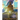 The Ascension Guide: Practical Advice for Lightworkers