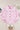 02ce4c76-aa6d-4930-9f2c-41ccabcb76b8-Max