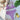 0344ecef3c114a9c874da34ffb9192d6-Max