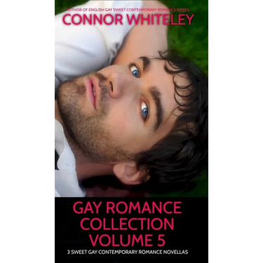 Gay Romance Collection Volume 5: 3 Sweet Gay Contemporary Romance Novellas