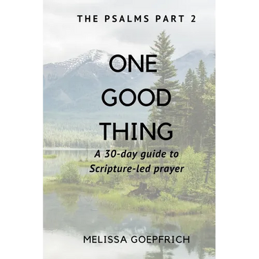One Good Thing: The Psalms - Part 2: A 30-Day Guide to Scripture Led Prayer