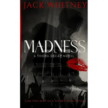 Madness: A Masked Rockstar Romance