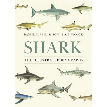 Shark: The Illustrated Biography