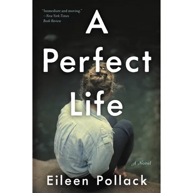 A Perfect Life
