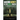 Making Money on the Money Printer: Ultimate Beginner's Guide for Investing in a Distorted Financial System