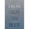 From Gray to Blue: Galvanized Yankees in the American Civil War