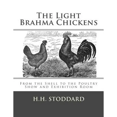 The Light Brahma Chickens (The Light Brahma Fowls): From the Shell to the Poultry Show and Exhibition Room