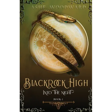 Blackrock High: Into the Night (The Blackrock High Trilogy: Book One)