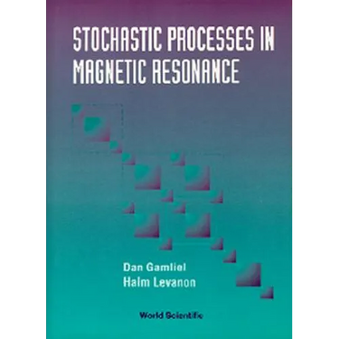 Stochastic Processes in Magnetic...