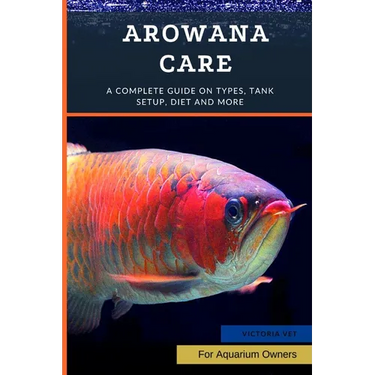 Arowana Care: A Complete Guide on Types, Tank Setup, Diet and More