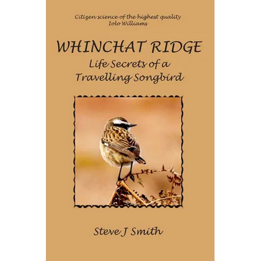 Whinchat Ridge: Life Secrets of a Travelling Songbird
