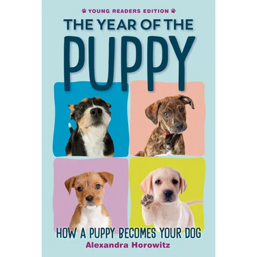 The Year of the Puppy: How a Puppy Becomes Your Dog
