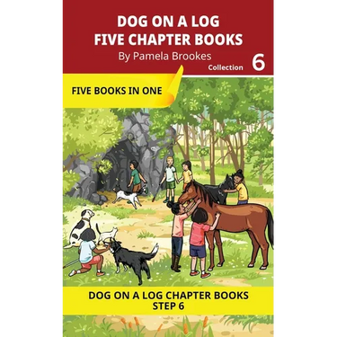 Five Chapter Books 6: Decodable Series for Students Learning to Read. For Developing Readers and Students with Dyslexia. (Step 6-Exception words conta