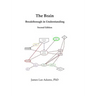 The Brain: Breakthrough in Understanding: Second Edition