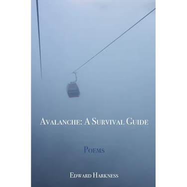 Avalanche: A Survival Guide