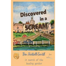 Discovered in a Scream, 3rd edition: A story of survival and healing