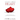 The Essence of a Crimson Heart: Expressing the depth of love, nourishing the soul and ignite the heart