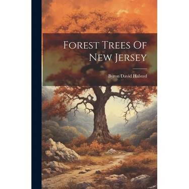 Forest Trees Of New Jersey