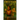Freeyah and the Race of Life