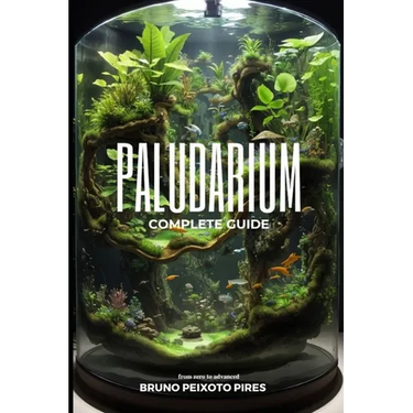 Paludarium: Complete Guide