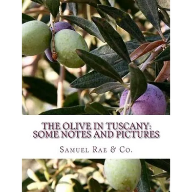 The Olive In Tuscany: Some Notes and Pictures
