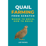 Quail Farming From Scratch: Where To Begin, How To Begin