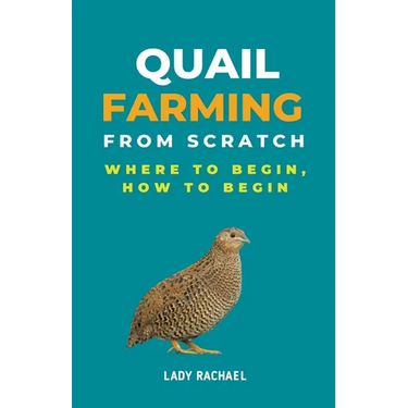 Quail Farming From Scratch: Where To Begin, How To Begin