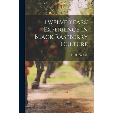 Twelve Years' Experience In Black Raspberry Culture