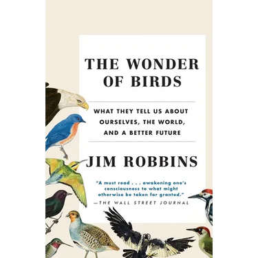 The Wonder of Birds: What They Tell Us about Ourselves, the World, and a Better Future