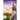Reluctant Bride Softcover