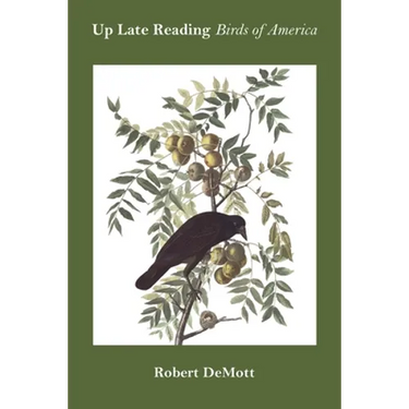 Up Late Reading Birds of America