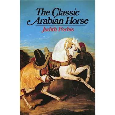 Classic Arabian Horse