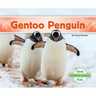 Gentoo Penguin