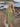 0c077281-5b82-4ce6-adbc-297c3a958217-Max