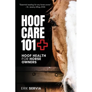 Hoof Care 101: Hoof Health for Horse Owners