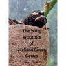 The Willy Wagtails of Melissa Court Cowes