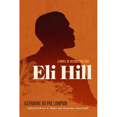 Eli Hill: A Novel of Reconstruction