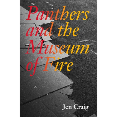 Panthers and the Museum of Fire