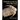 Travels with Trilobites: Adventures in the Paleozoic