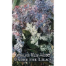 Under the Lilacs by Louisa May Alcott, Fiction, Family, Classics