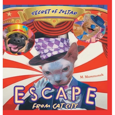 Escape from Cat City 2: Secret of Zoltar