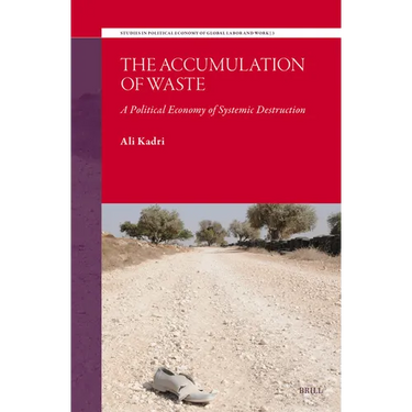 The Accumulation of Waste: A Political Economy of Systemic Destruction