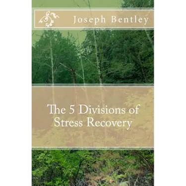 The 5 Divisions of Stress Recovery
